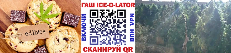 кракен маркетплейс  Красноуральск  Cannafood конопля 