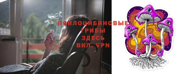 гидропоника Куйбышев