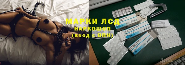 гашик Краснослободск