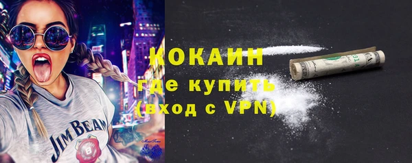 гашик Краснослободск